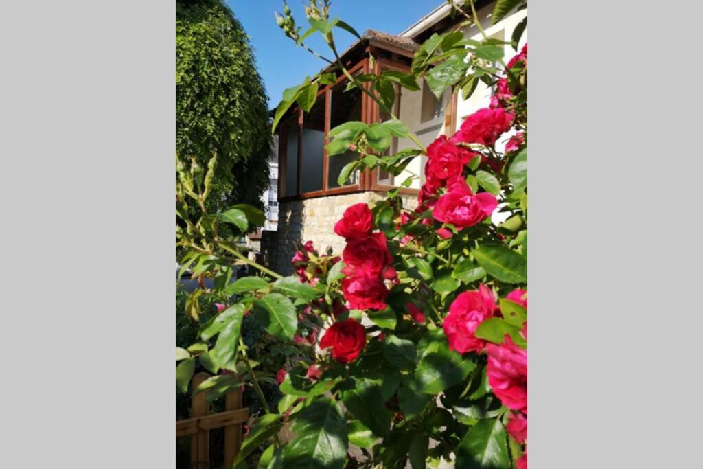 La Roseliere Maison Plain Pied Confortable Belle Decoration Jardin Magnifique 10 Mn A Pied Centre Ville Bayeux Proche Plages Du Debarquement Екстериор снимка