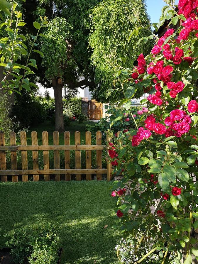 La Roseliere Maison Plain Pied Confortable Belle Decoration Jardin Magnifique 10 Mn A Pied Centre Ville Bayeux Proche Plages Du Debarquement Екстериор снимка